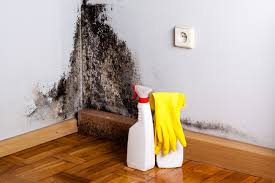 Best Mold Odor Removal Services  in Mackinac Island, MI